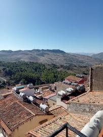 Dresher-Pan---Ci---6-