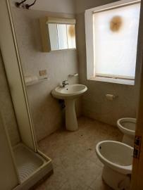 Dresher-Pan---Ci---12-