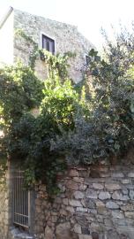 Dresher-Rab---Ci---10-