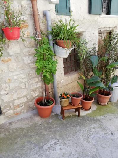 Image No.34-3 Bed House for sale