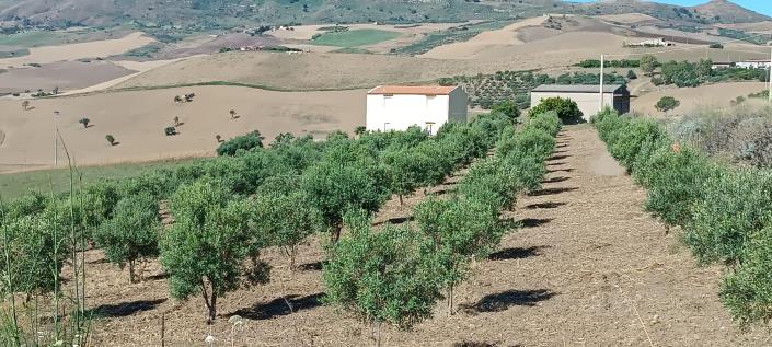 Image No.27-2 Bed House/Villa for sale