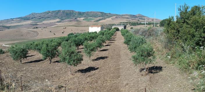 Image No.30-2 Bed House/Villa for sale