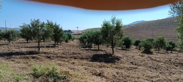 Image No.33-2 Bed House/Villa for sale