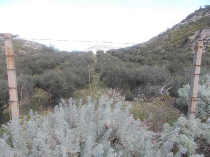 Image No.2-4 Bed Land for sale