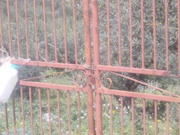 Giambri-Sal---Co---3-