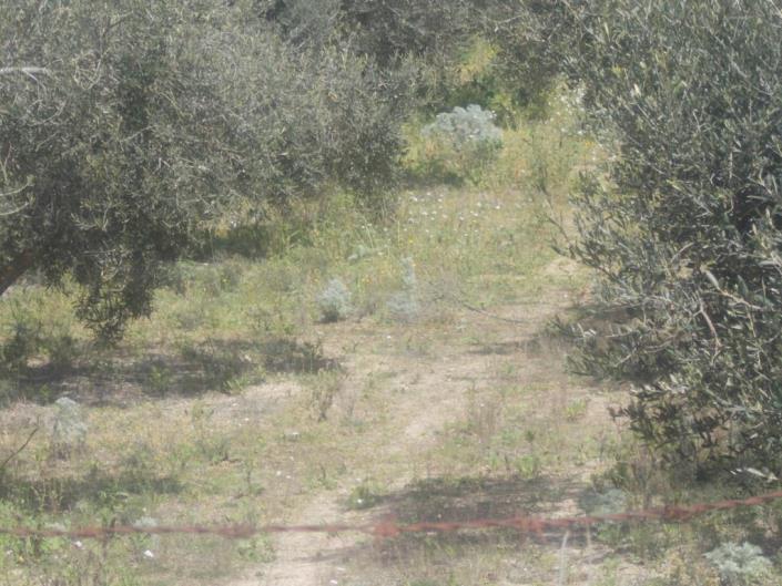 Image No.5-4 Bed Land for sale