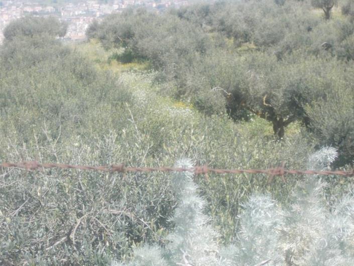 Image No.7-4 Bed Land for sale