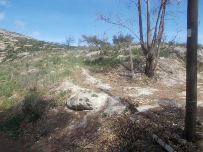 Image No.11-4 Bed Land for sale