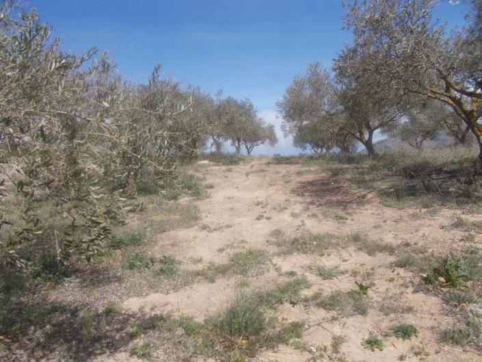 Image No.13-4 Bed Land for sale