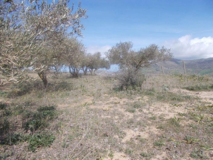 Image No.14-4 Bed Land for sale