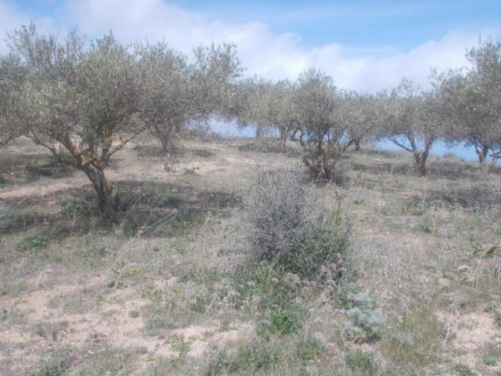 Image No.15-4 Bed Land for sale