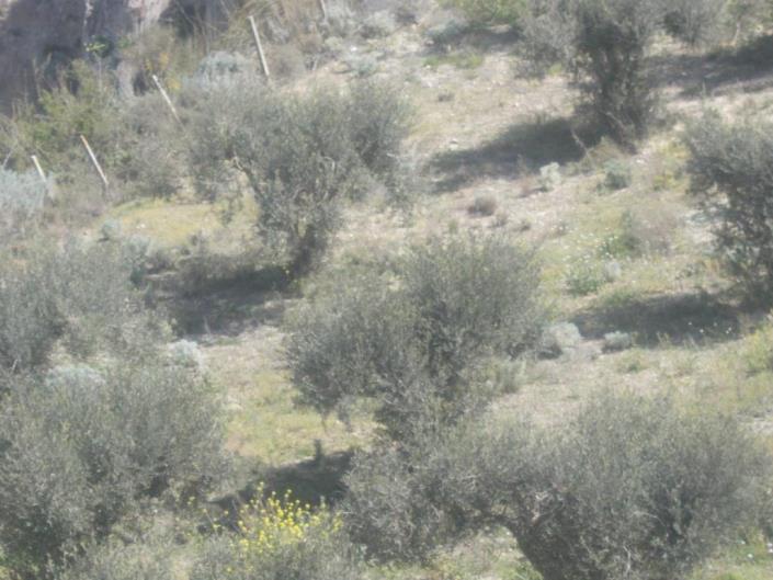 Image No.19-4 Bed Land for sale