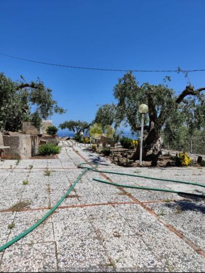 Image No.14-3 Bed Villa for sale