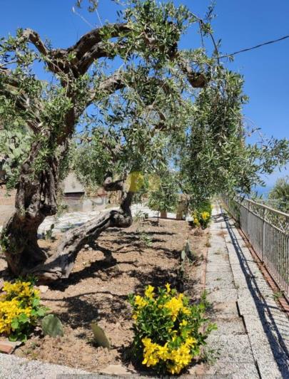 Image No.45-4 Bed Villa for sale