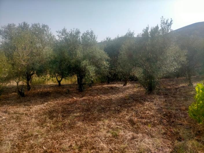 Image No.5-1 Bed Villa for sale