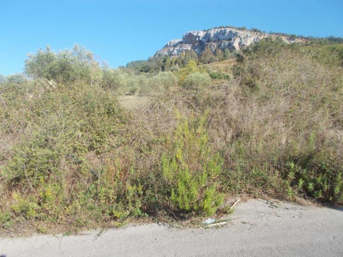 Image No.9-3 Bed Land for sale