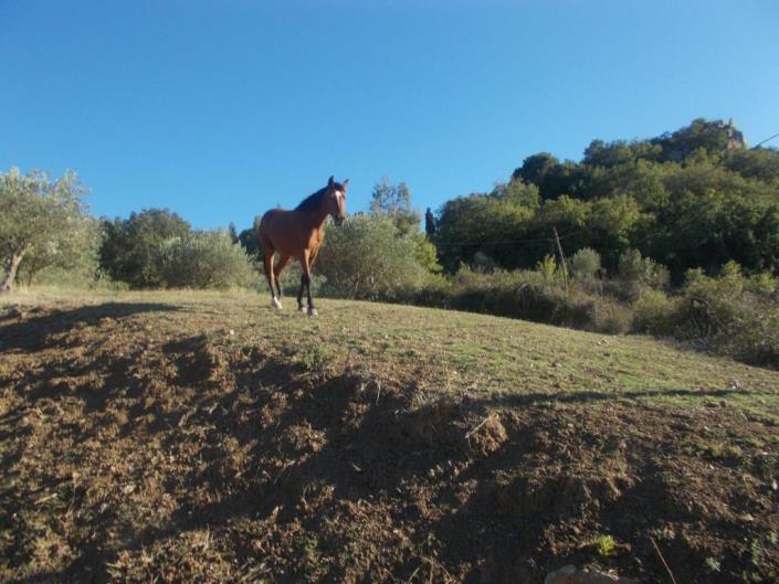 Image No.16-3 Bed Land for sale