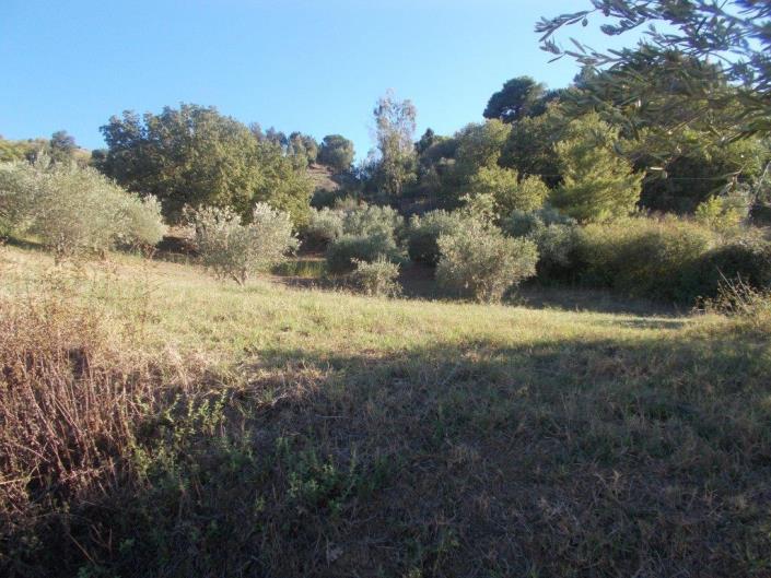 Image No.17-3 Bed Land for sale