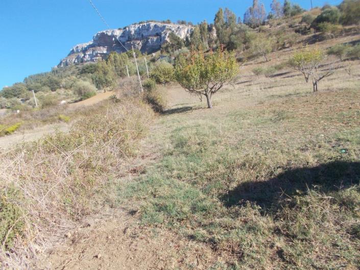 Image No.25-3 Bed Land for sale