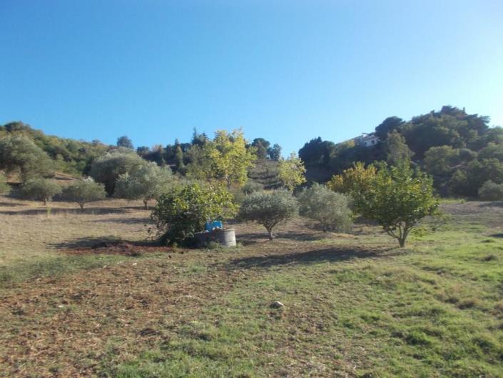 Image No.28-3 Bed Land for sale