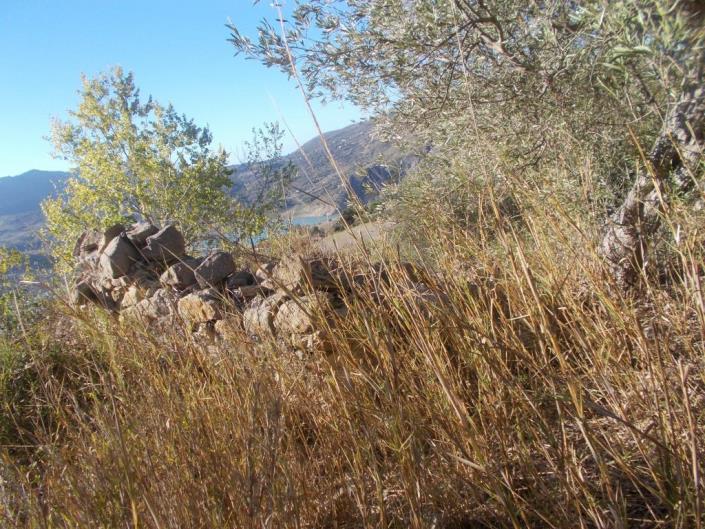 Image No.34-3 Bed Land for sale