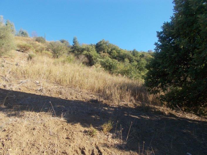 Image No.36-3 Bed Land for sale