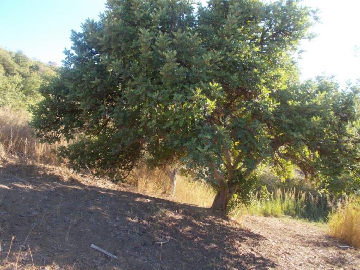 Image No.37-3 Bed Land for sale