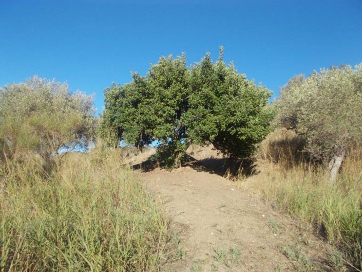 Image No.38-3 Bed Land for sale