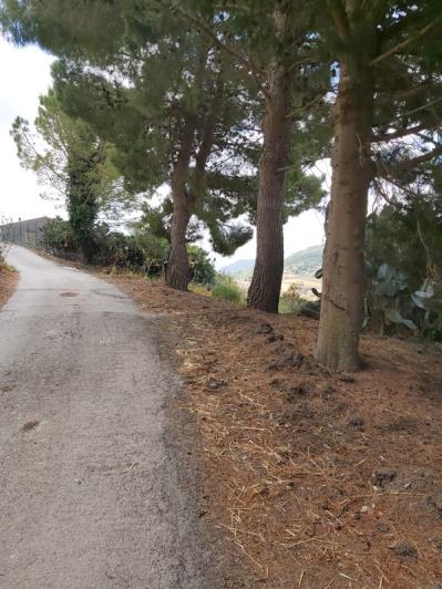 Image No.29-3 Bed Villa for sale