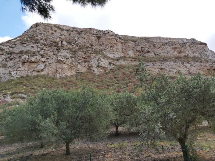 Image No.30-3 Bed Villa for sale