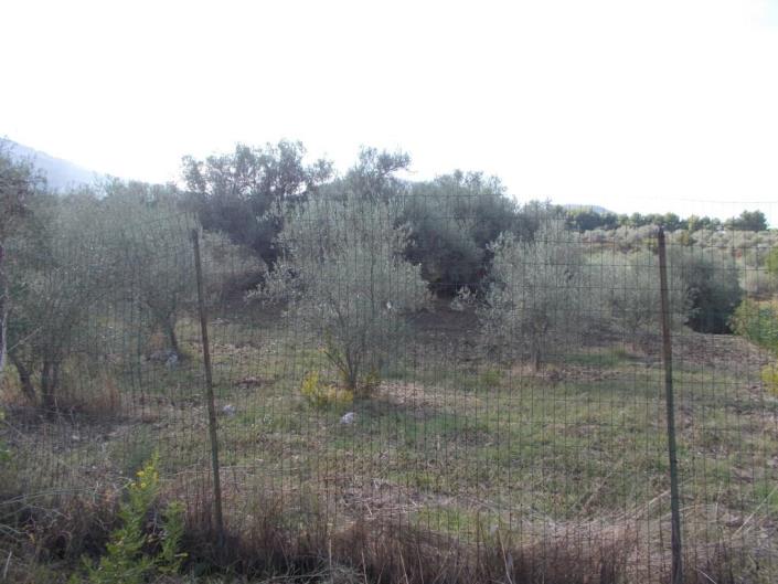 Image No.4-3 Bed Villa for sale