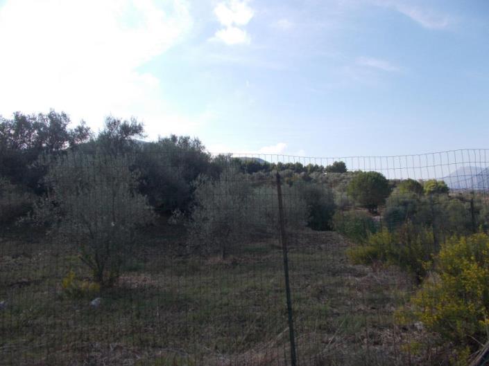 Image No.5-3 Bed Villa for sale