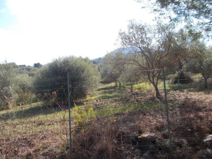 Image No.6-3 Bed Villa for sale