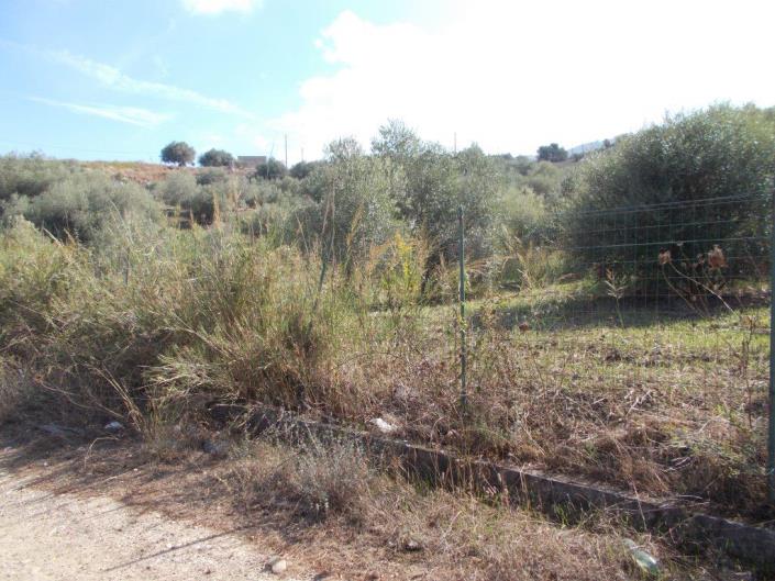 Image No.7-3 Bed Villa for sale