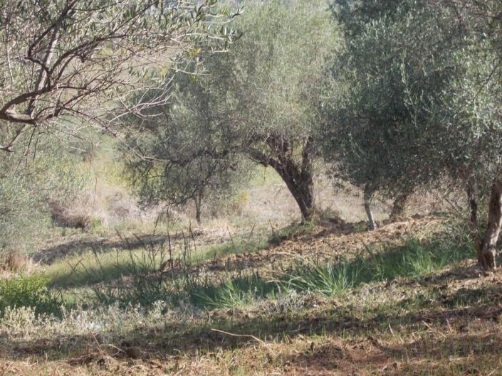 Image No.23-3 Bed Villa for sale