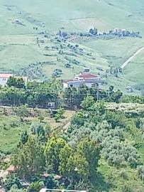 Guzzardo-G-pp---Ci---5-