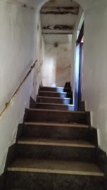 Corsello-Anna---Ci---4-