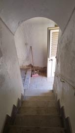 Corsello-Anna---Ci---5-