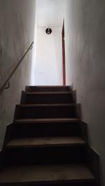 Corsello-Anna---Ci---6-