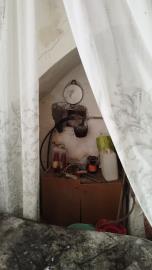 Corsello-Anna---Ci---7-