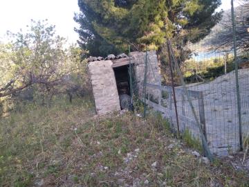 Parrinello-Benigno---Ci--1-