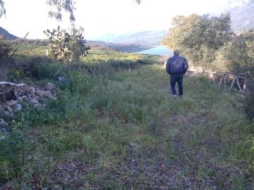 Parrinello-Benigno---Ci--6-