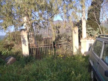 Parrinello-Benigno---Ci--7-