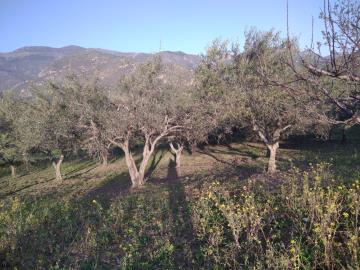 Parrinello-Benigno---Ci--10-