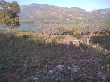 Parrinello-Benigno---Ci--11-