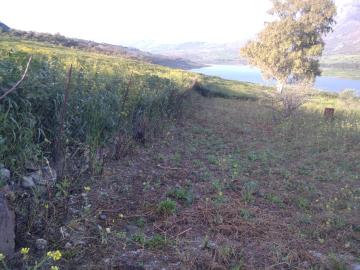 Parrinello-Benigno---Ci--12-