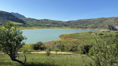 Nicosia-Dom---Ci---2-