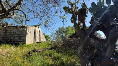 Nicosia-Dom---Ci---1-