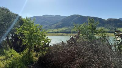 Nicosia-Dom---Ci---4-