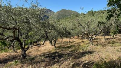 Nicosia-Dom---Ci---6-